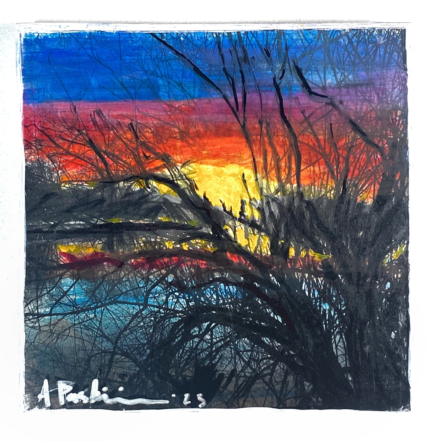 River Sunset Through Branches