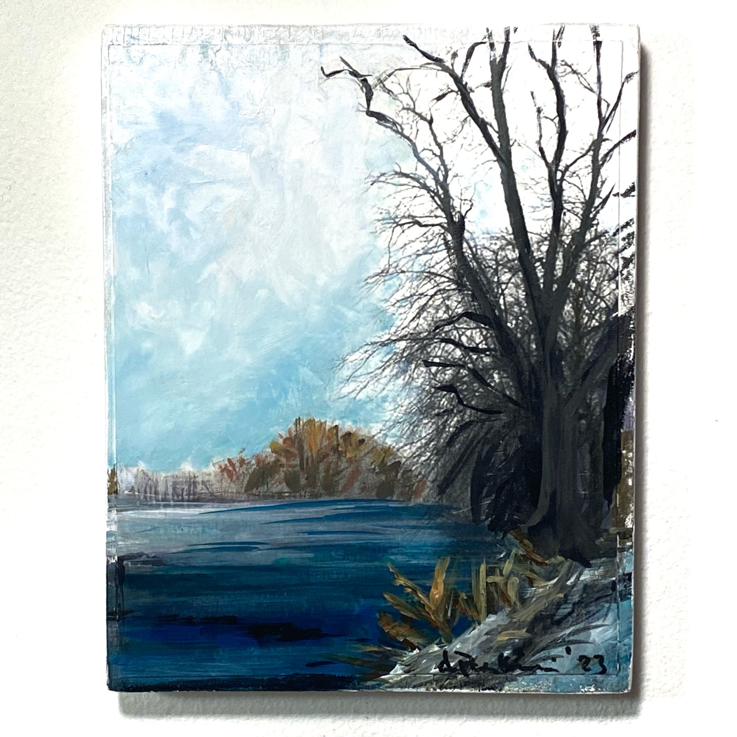 Misty River View