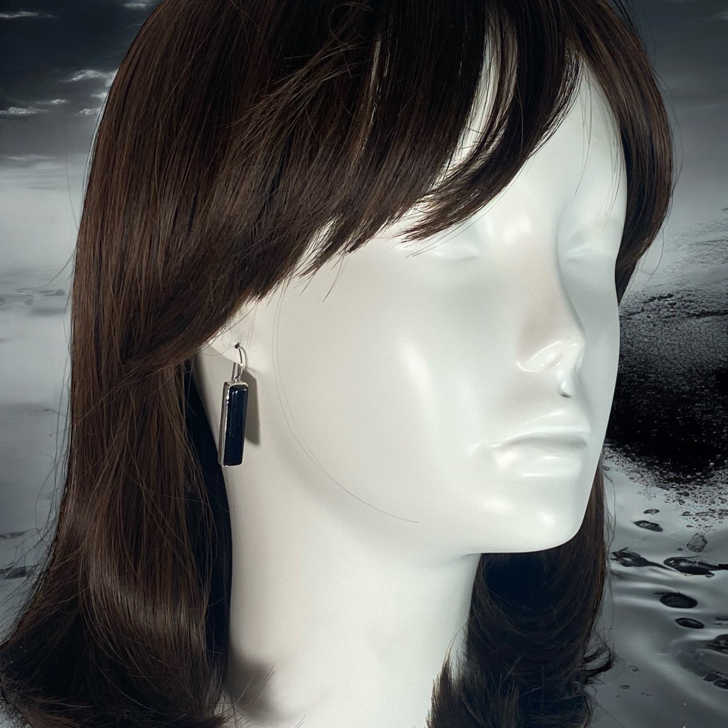 Long Rectangle Earrings in Black