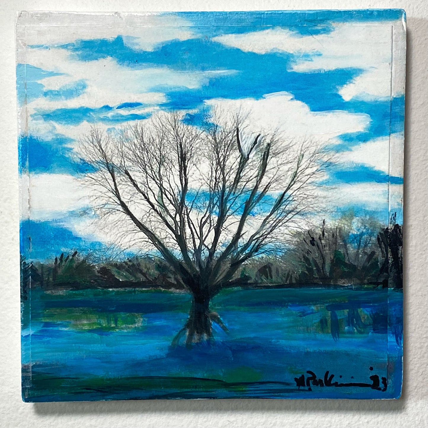 River Tree Reflection