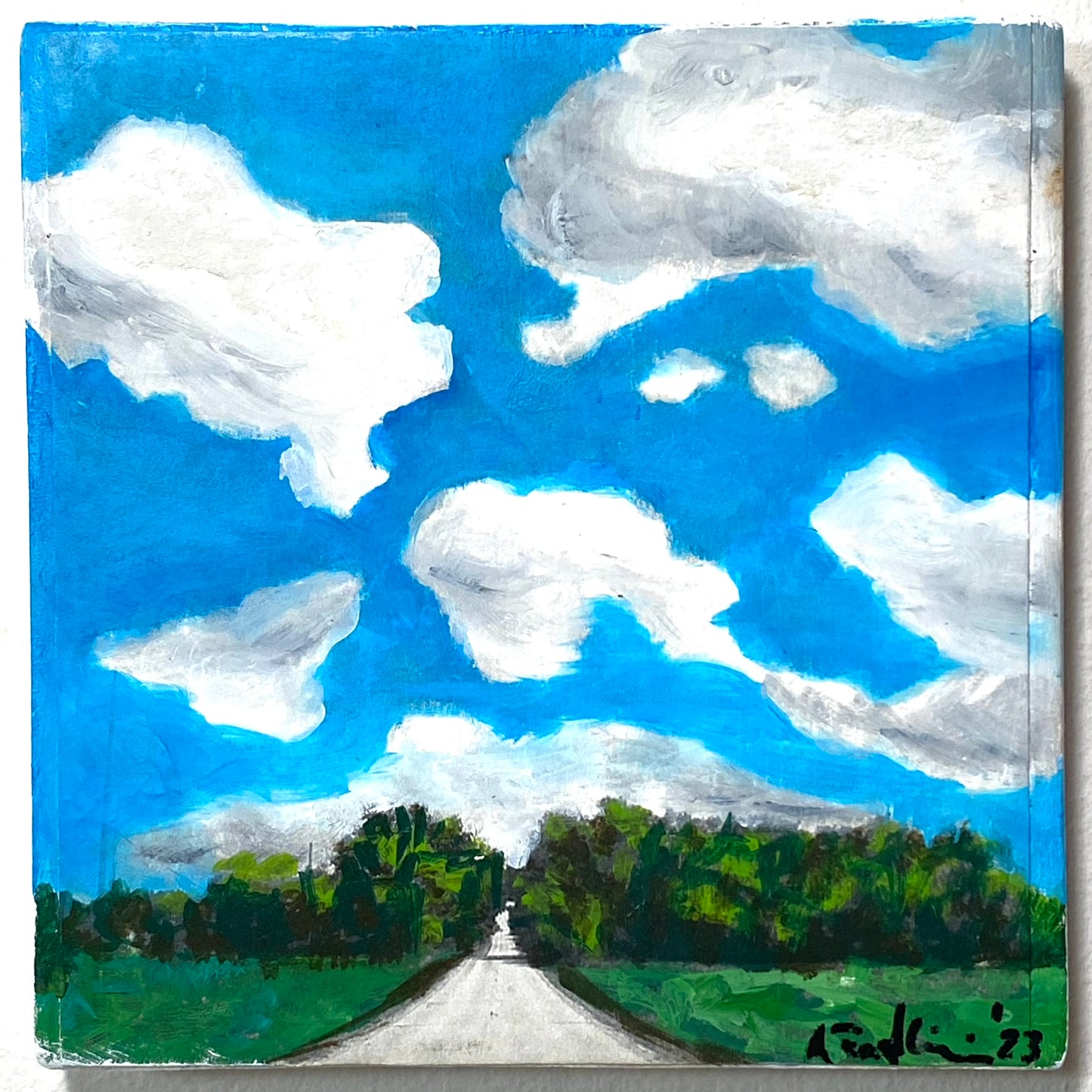 Summer County Road