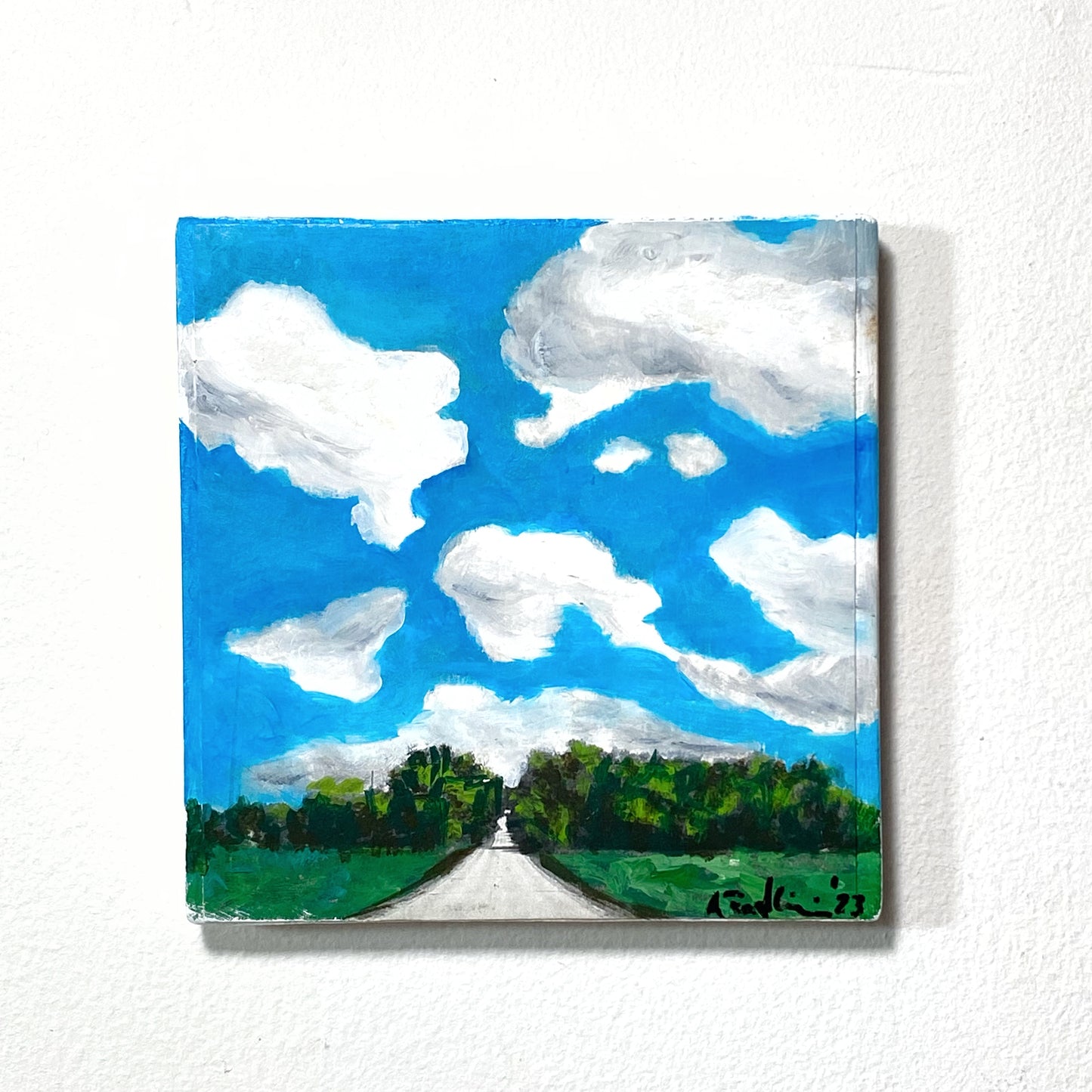 Summer County Road