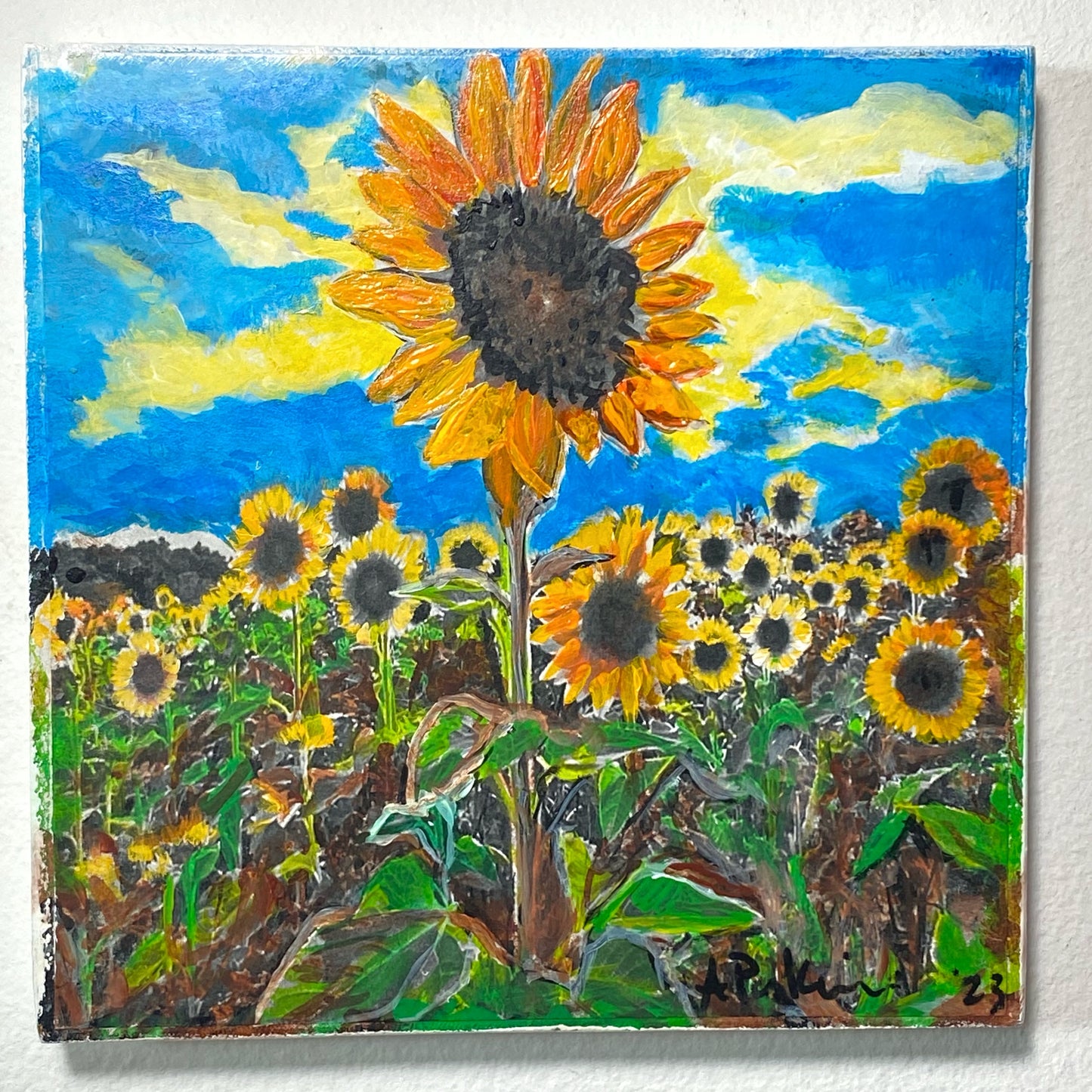 Sunflower Field