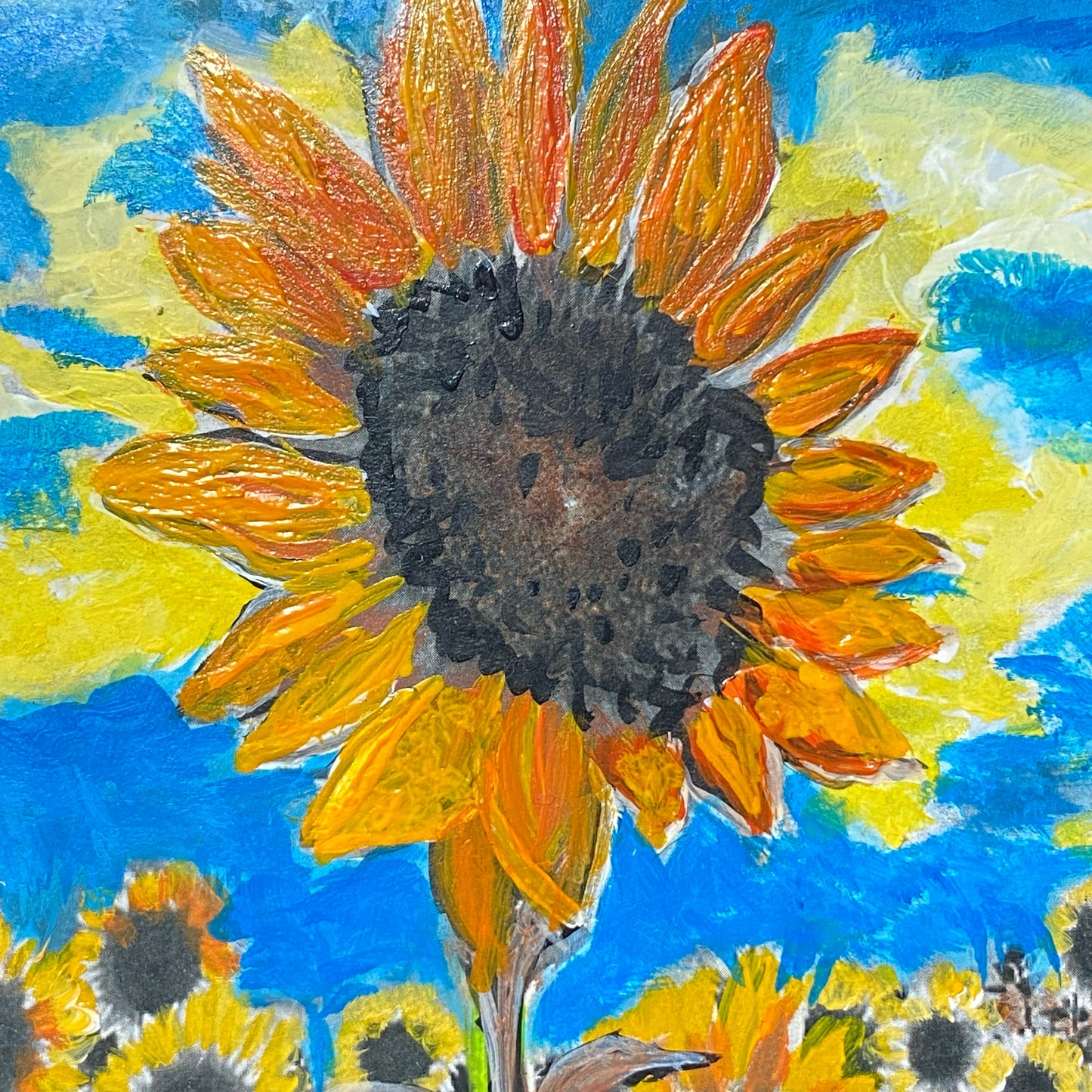 Sunflower Field