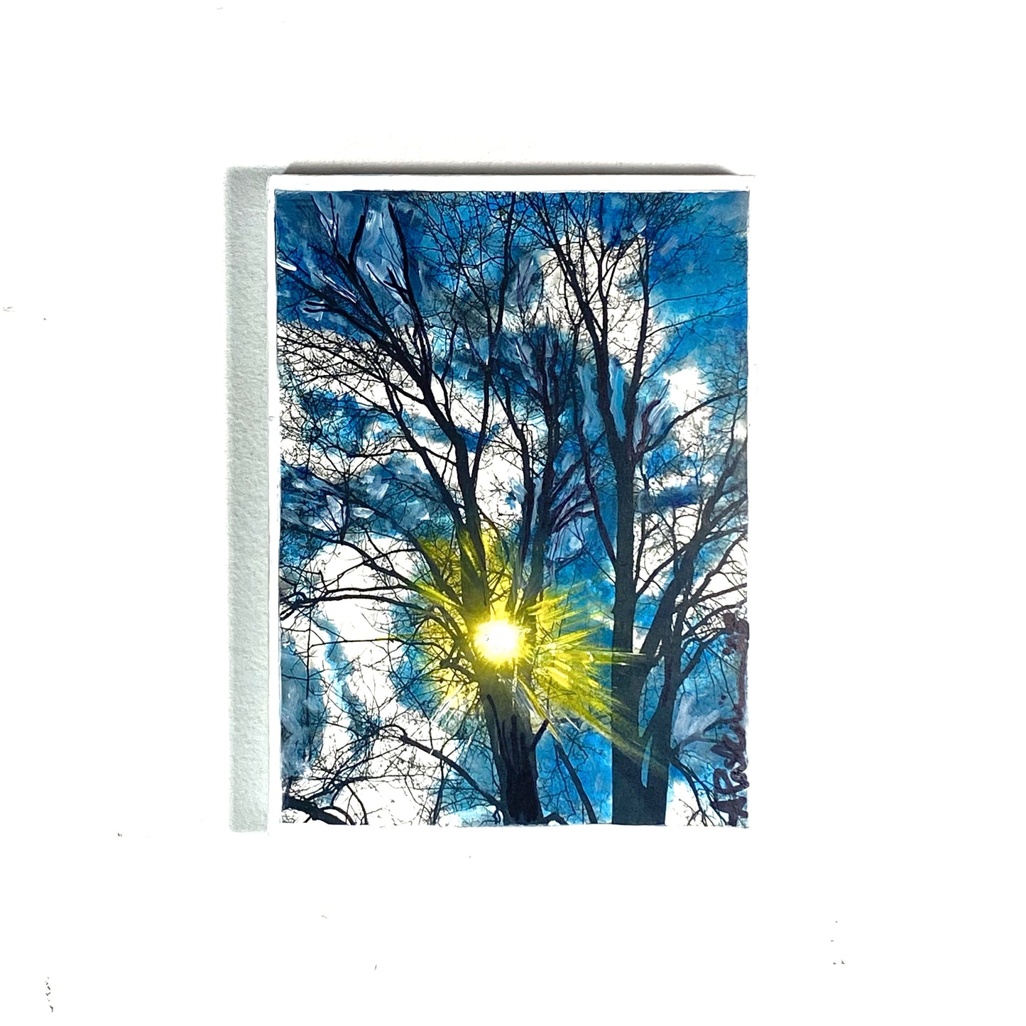 Winter Skies Through Trees