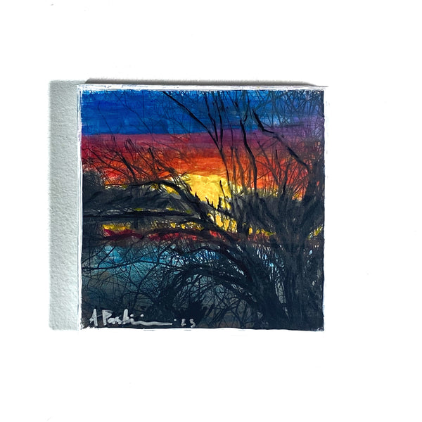 River Sunset Through Branches
