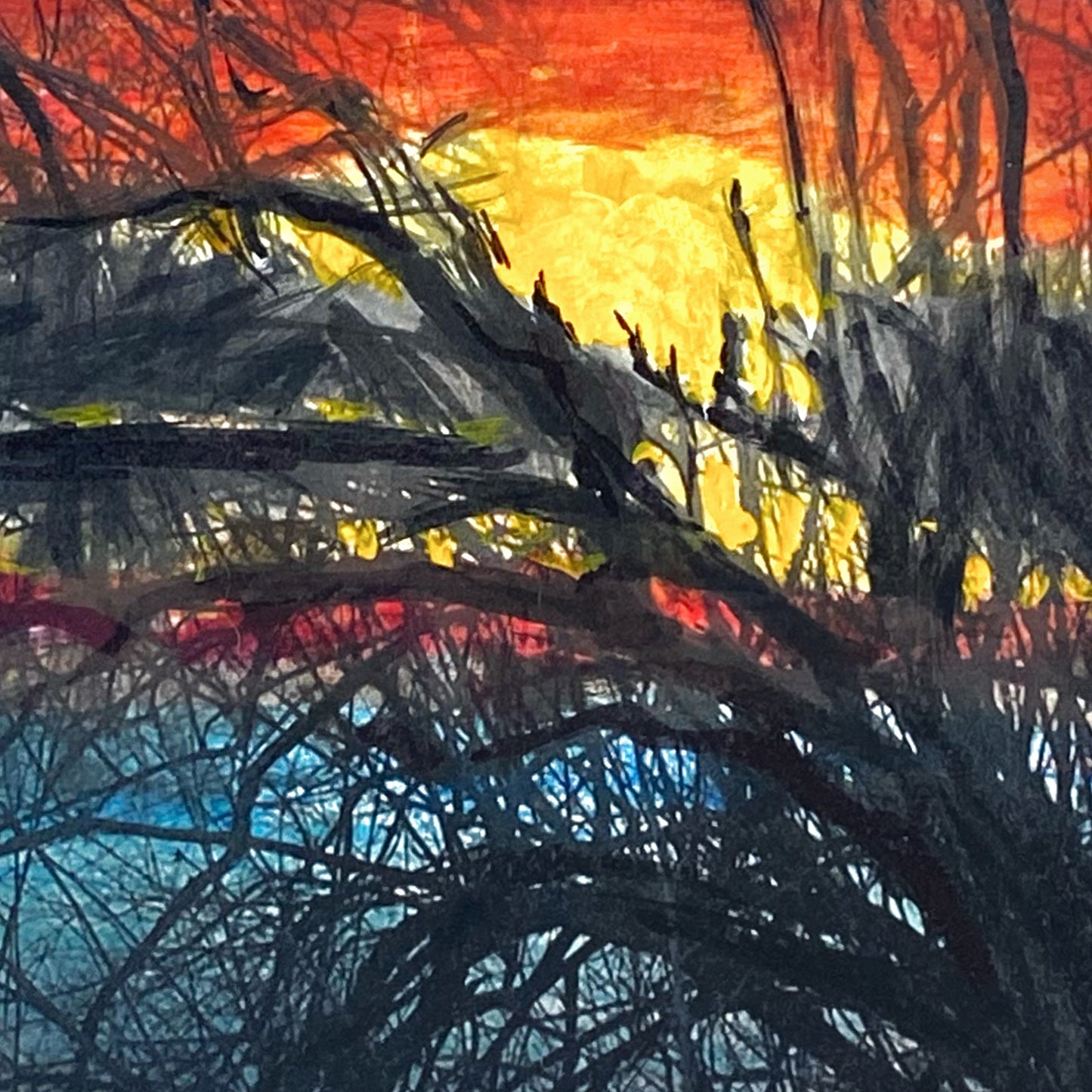 River Sunset Through Branches