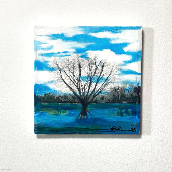 River Tree Reflection