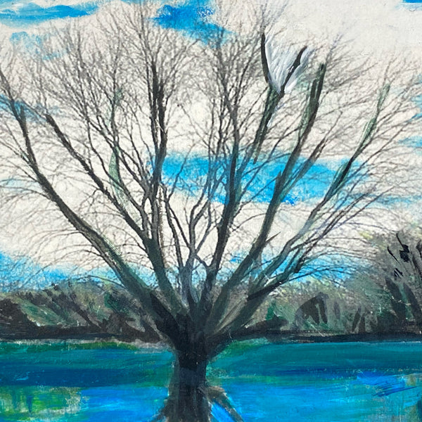 River Tree Reflection