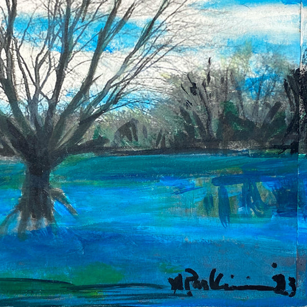 River Tree Reflection