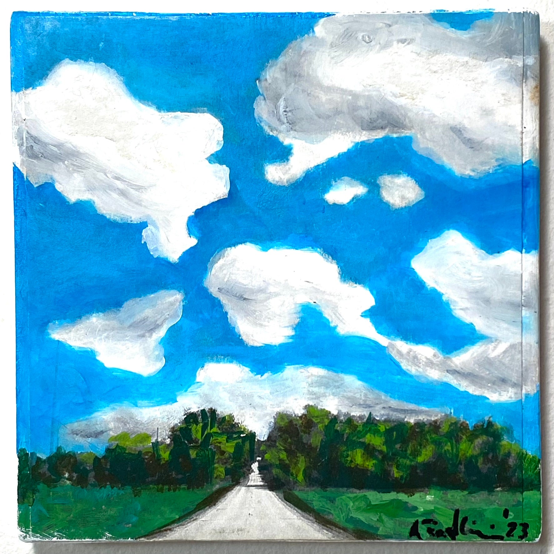 Summer County Road