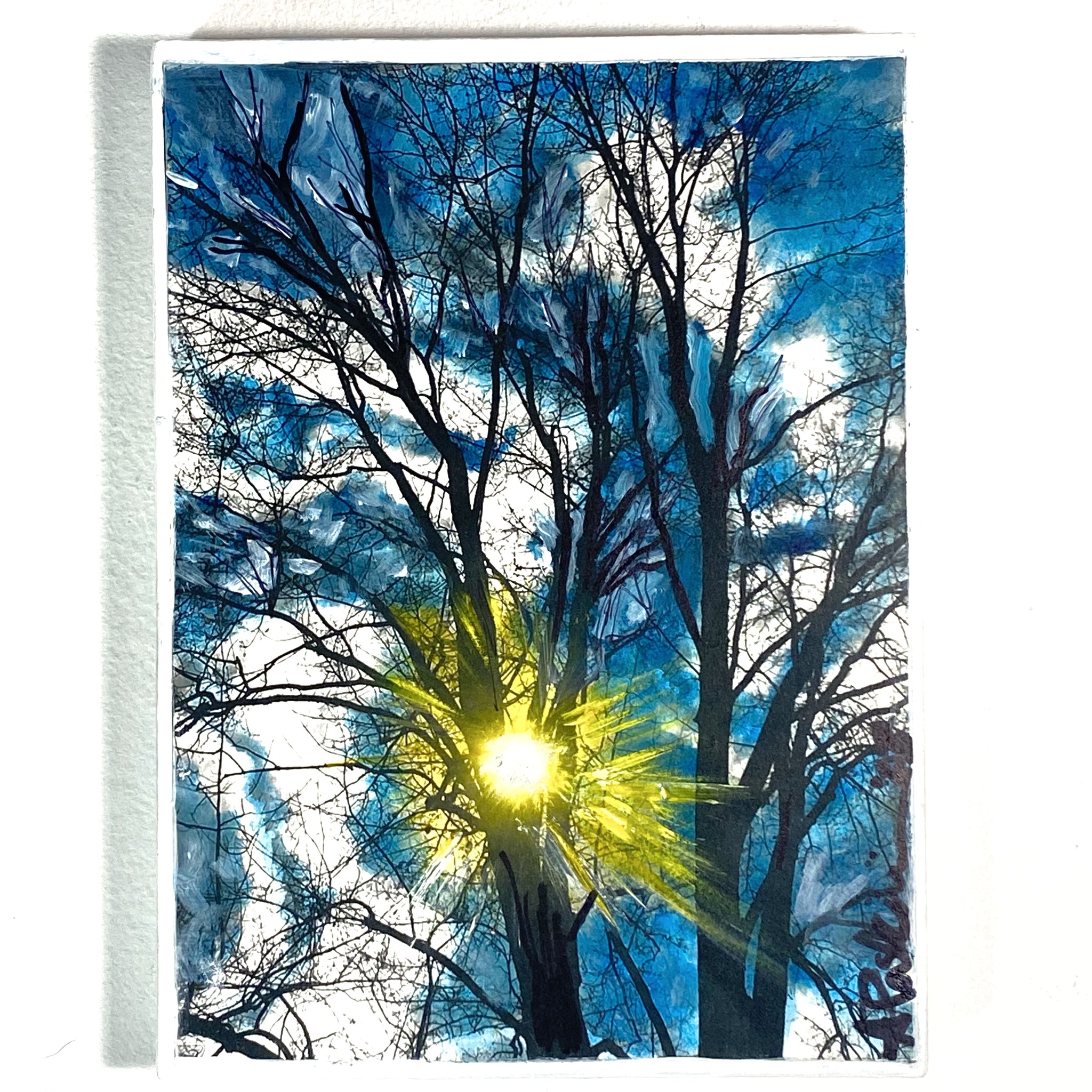 Winter Skies Through Trees