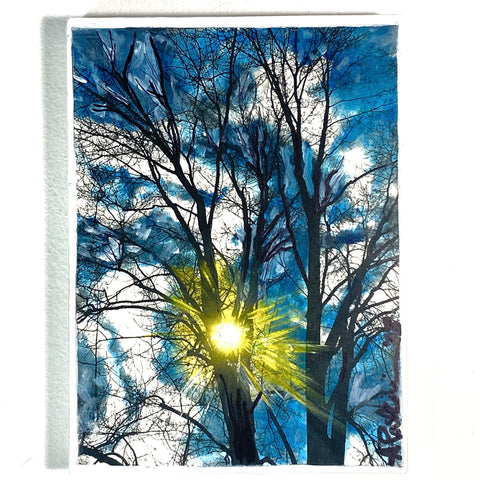 Winter Skies Through Trees